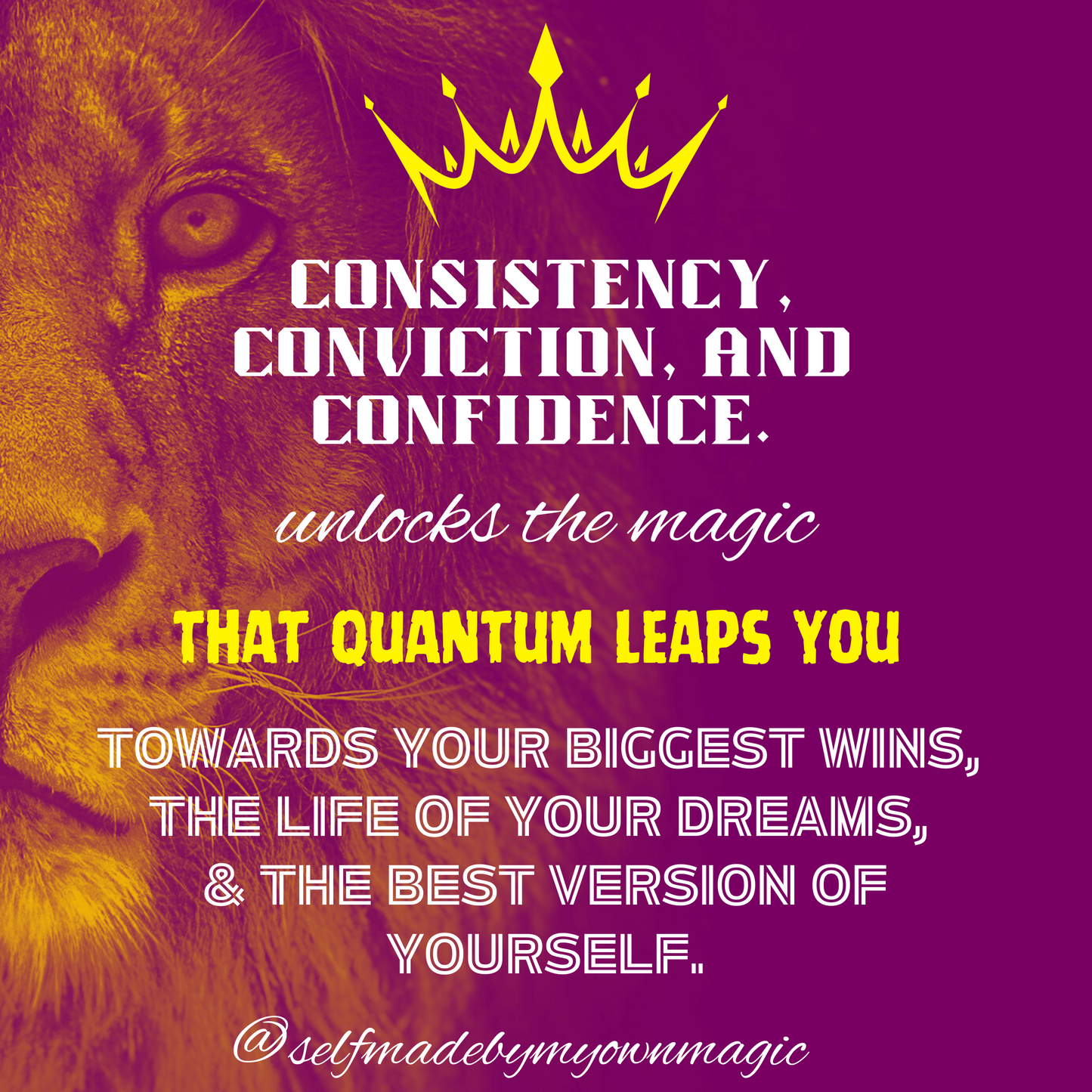 Hardcover Success Mindset Journal/Notebook: Consistency Conviction and Confidence Is The Magic Than Quantum Leaps You